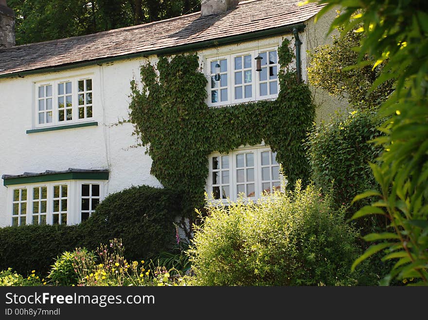 Ivy covered lake district cottage. Ivy covered lake district cottage