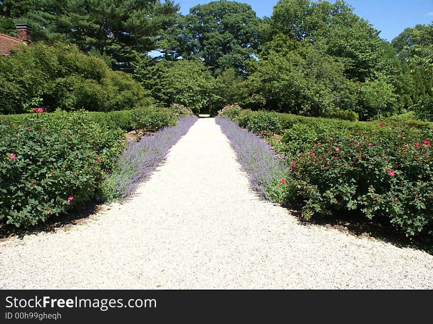 A pretty garden path with a border of purple flowers. A pretty garden path with a border of purple flowers