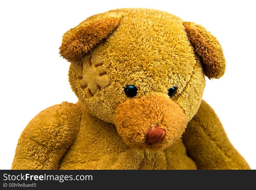 A teddy bear portrait close up on a white background