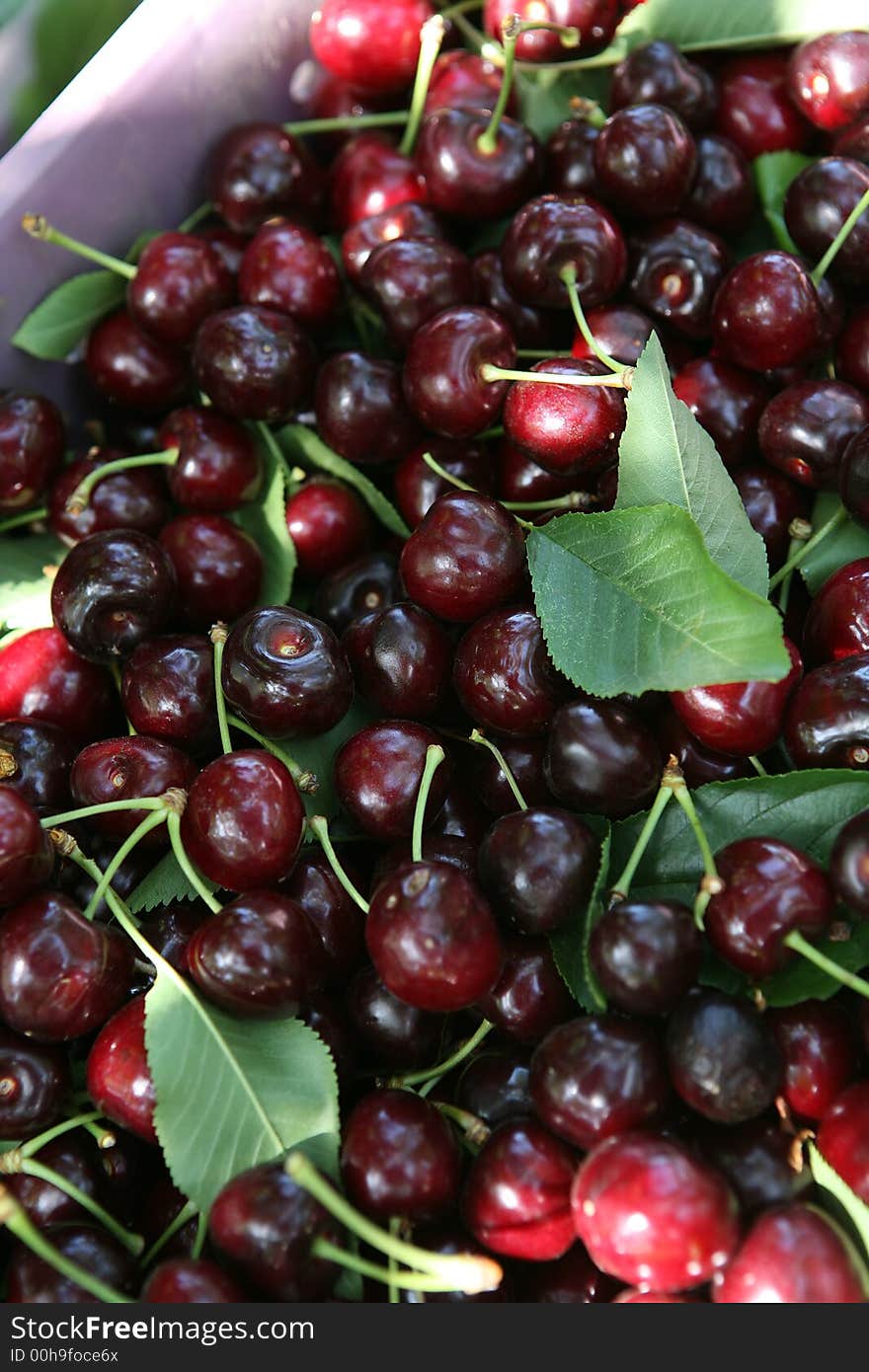 Cherries