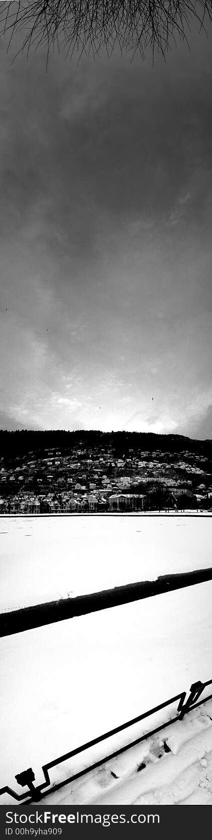 Snow-covered Panoramic