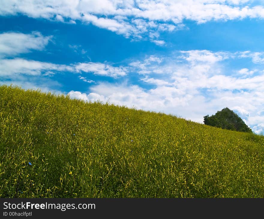 Summer landscape with green grass meador and blue clouds. Summer landscape with green grass meador and blue clouds