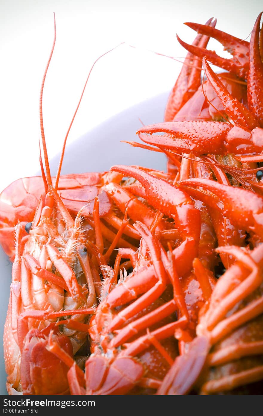 Closeup on boiled crawfish in a white bowl. Closeup on boiled crawfish in a white bowl