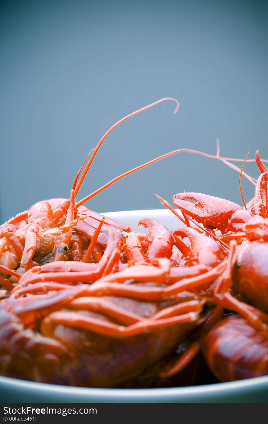 Closeup on boiled crawfish in a bowl over grey-blue background. Closeup on boiled crawfish in a bowl over grey-blue background