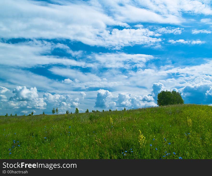 Meadow And Clouds Horizontal