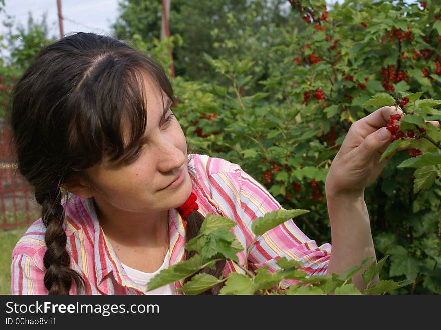 Crop of a red currant