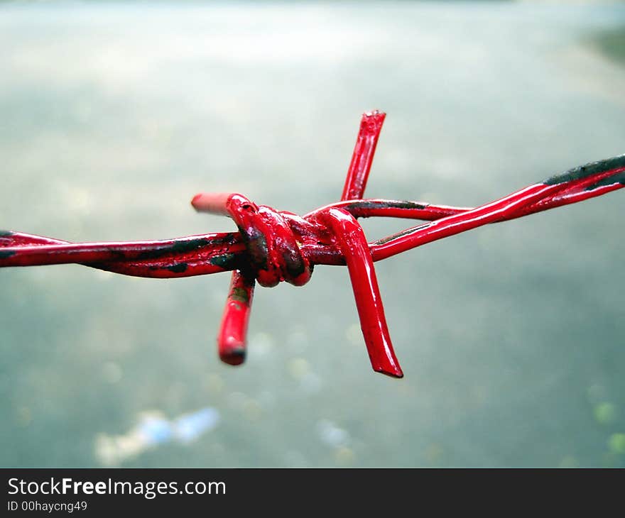 Red Barbwire