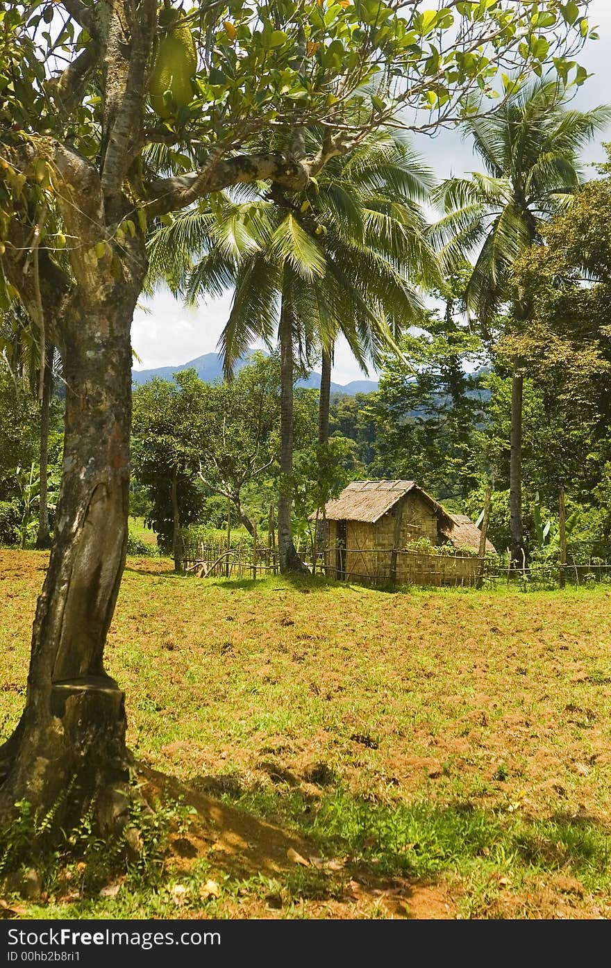 Dumagat Hut