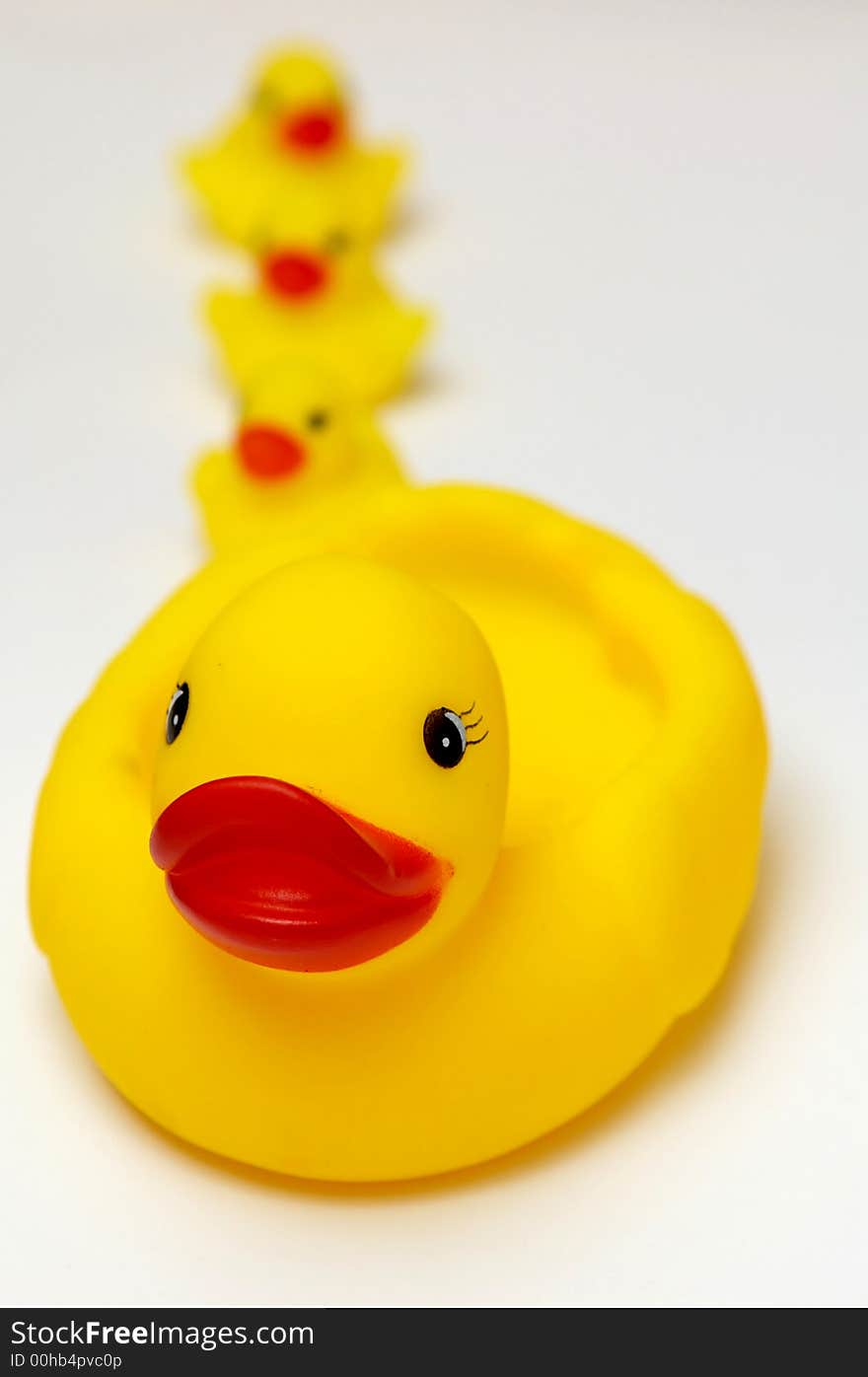 An image of duck with duckling. An image of duck with duckling