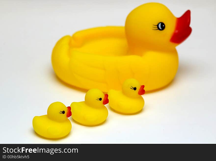 An image of duck with duckling. An image of duck with duckling