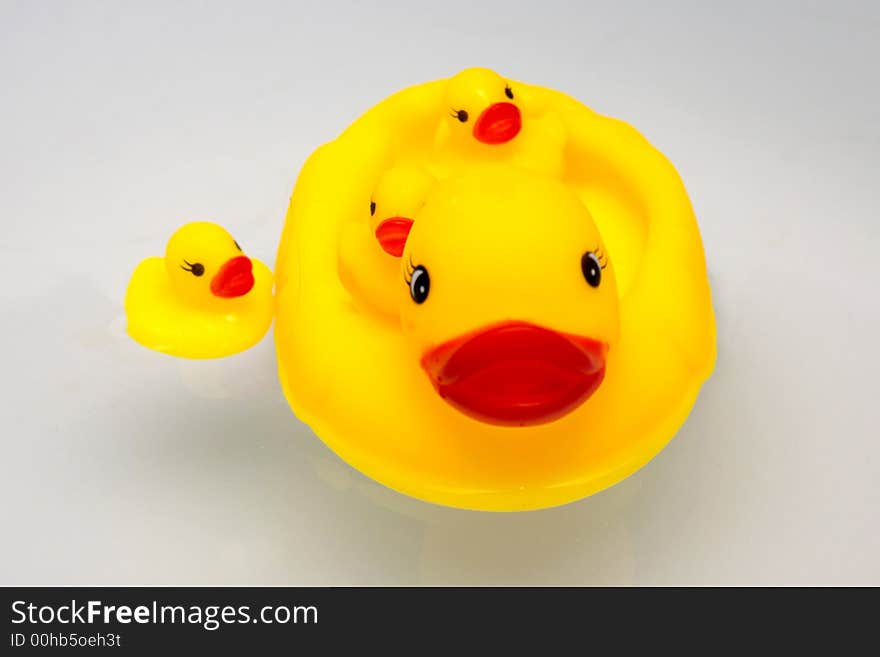 Duck