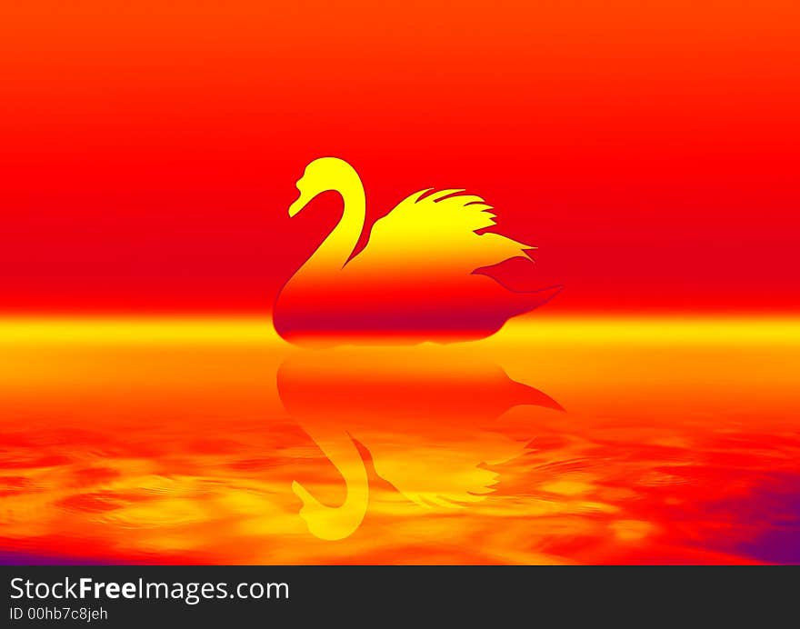 Graceful swan lit by the red color ground. Graceful swan lit by the red color ground