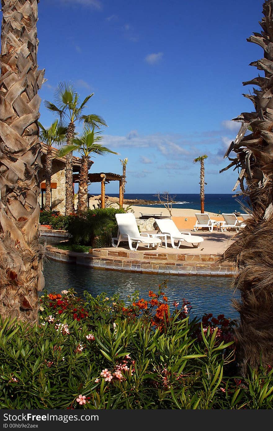 Pools and gardens of a hotel from Los Cabos, Baja California, Mexico, Latin America. Pools and gardens of a hotel from Los Cabos, Baja California, Mexico, Latin America