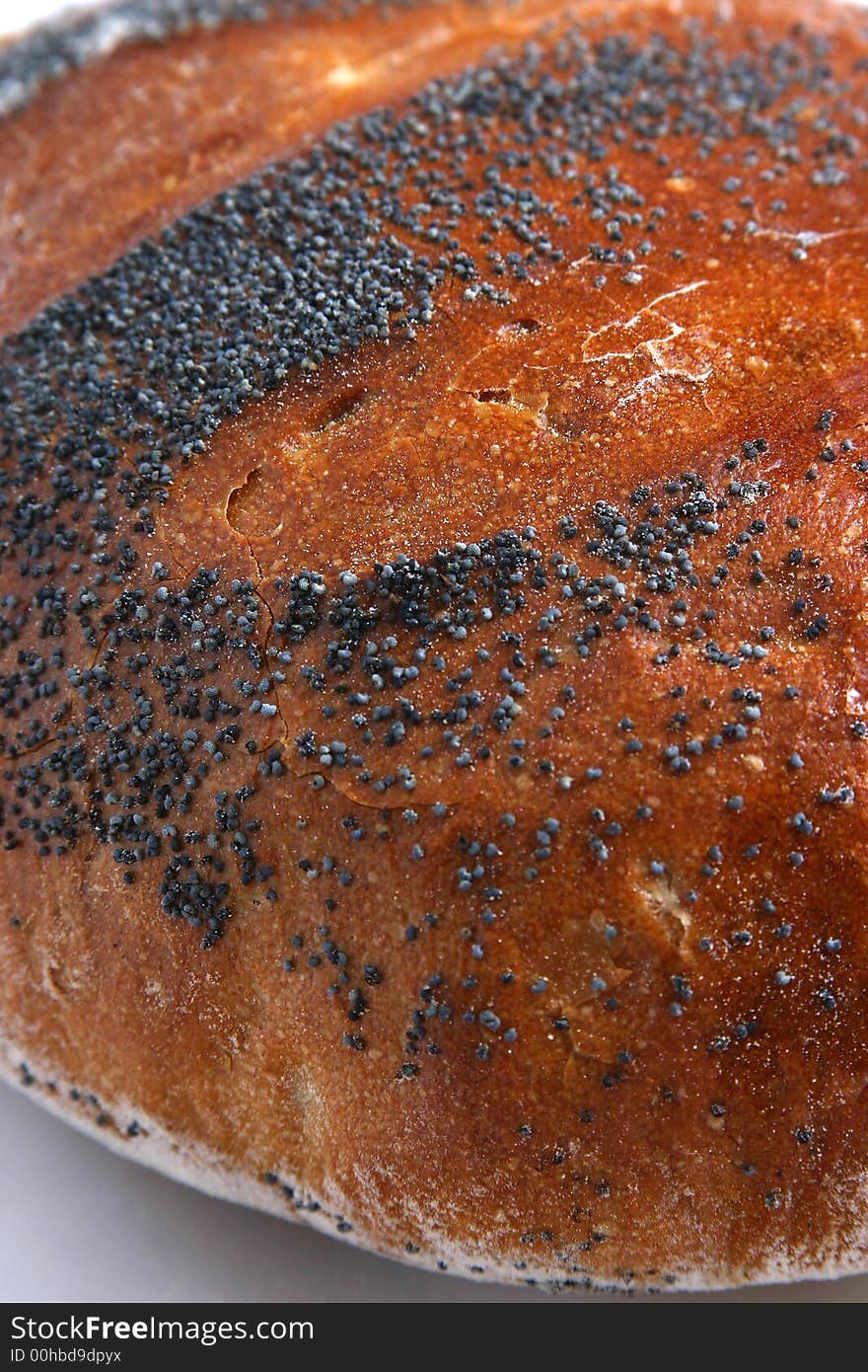 Fresh baked bread on white background