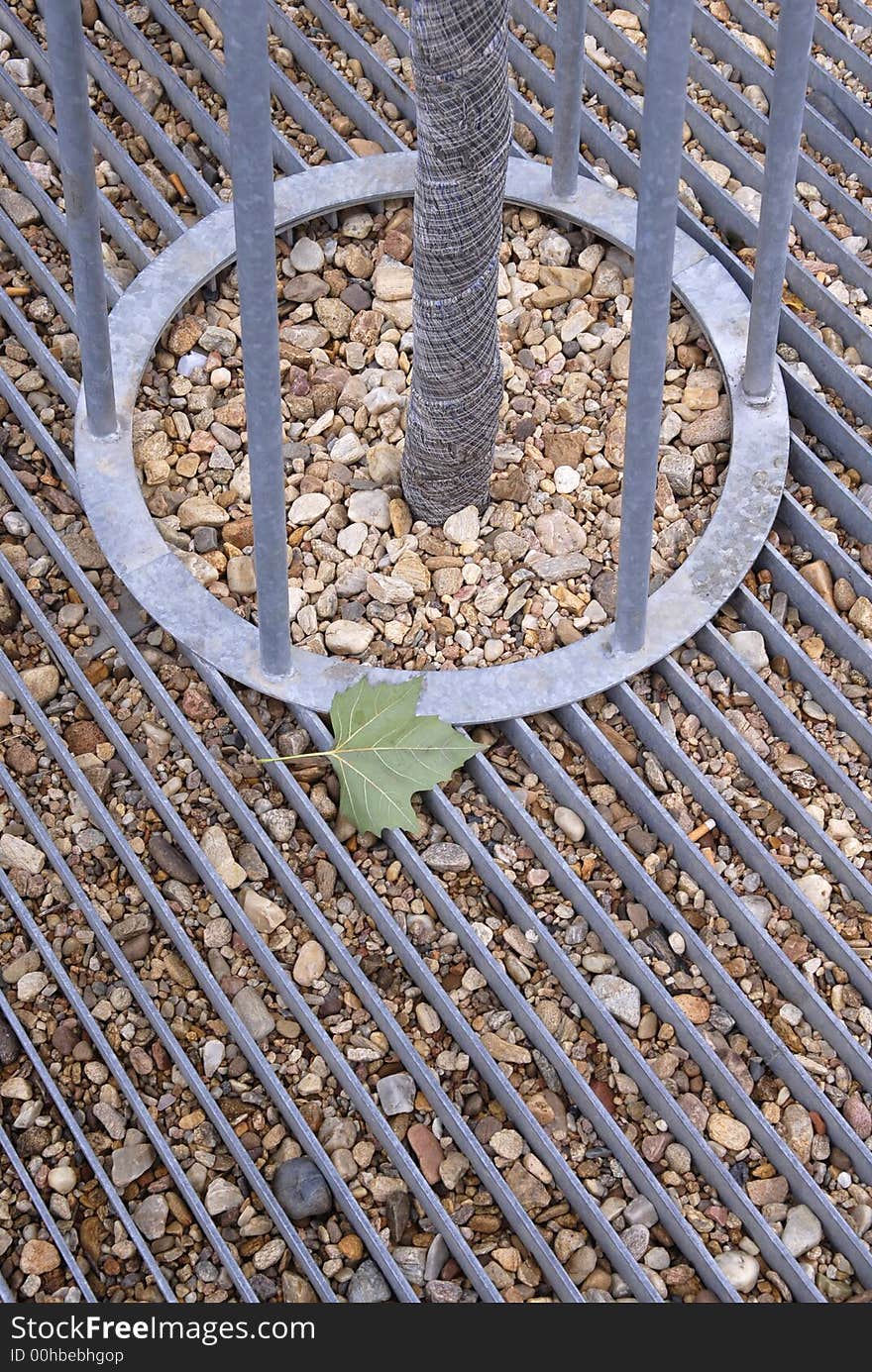 Pebbles,leaves and metal