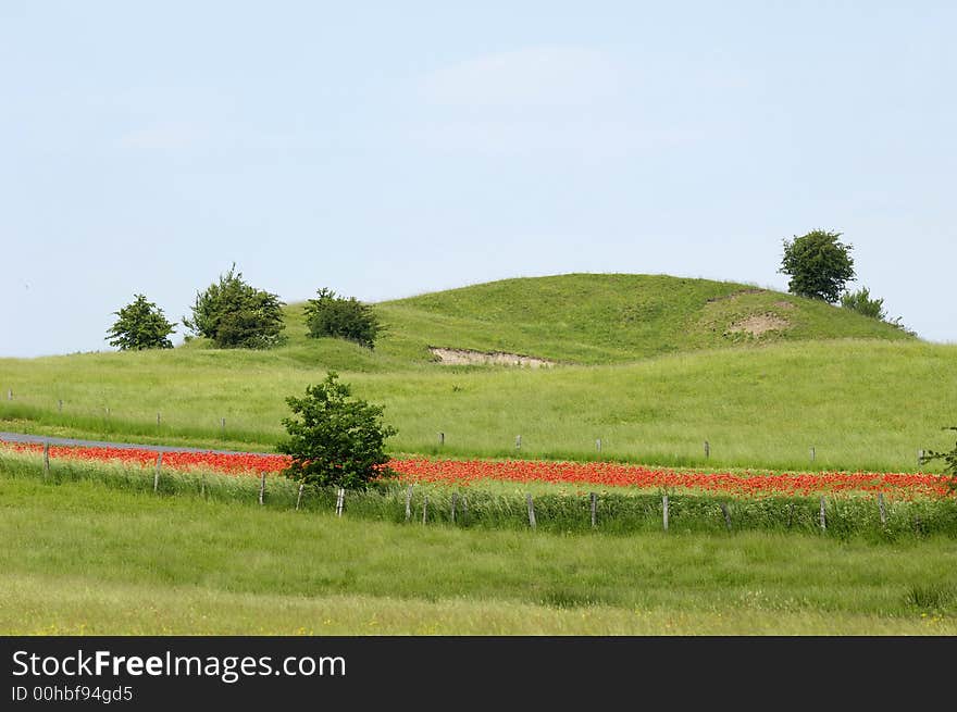 Landscape with flowers, trees and hill