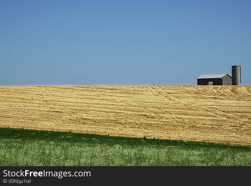 Harvested wheat field with beautiful blue sky. Harvested wheat field with beautiful blue sky