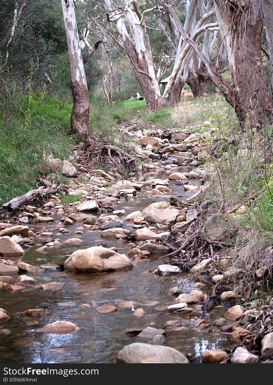 Looking up a creek at Morialta falls in South Australia. Looking up a creek at Morialta falls in South Australia.