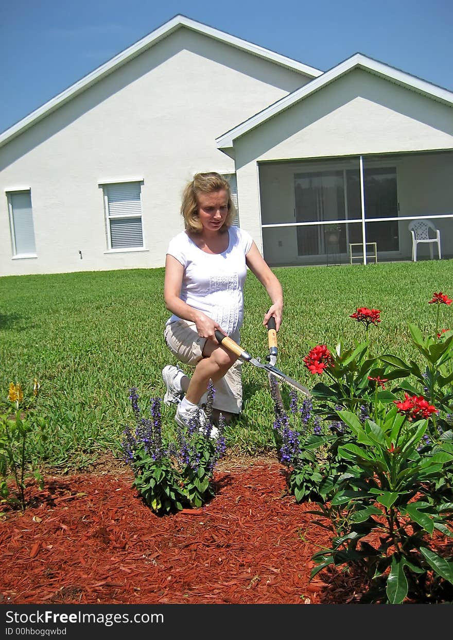 Pregnant woman in a garden with shears. Pregnant woman in a garden with shears.