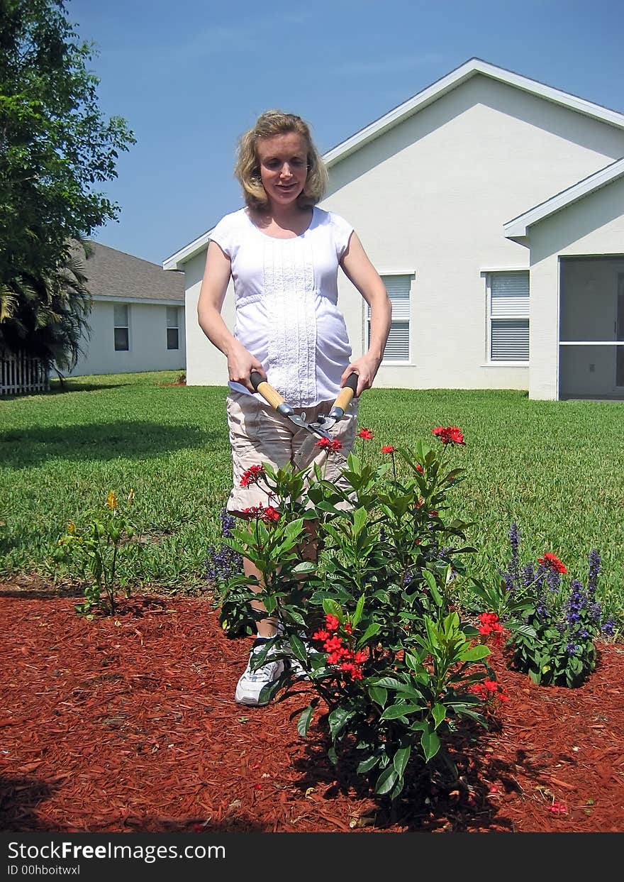 Pregnant woman gardening with shears; flowers in lower foreground. Pregnant woman gardening with shears; flowers in lower foreground.