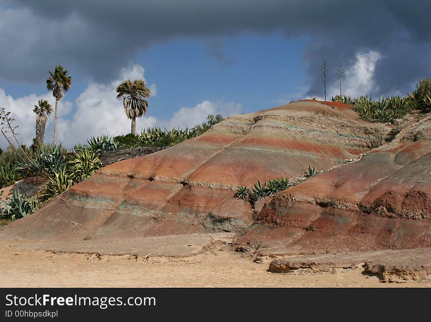 Coloured Cliffs With Palms