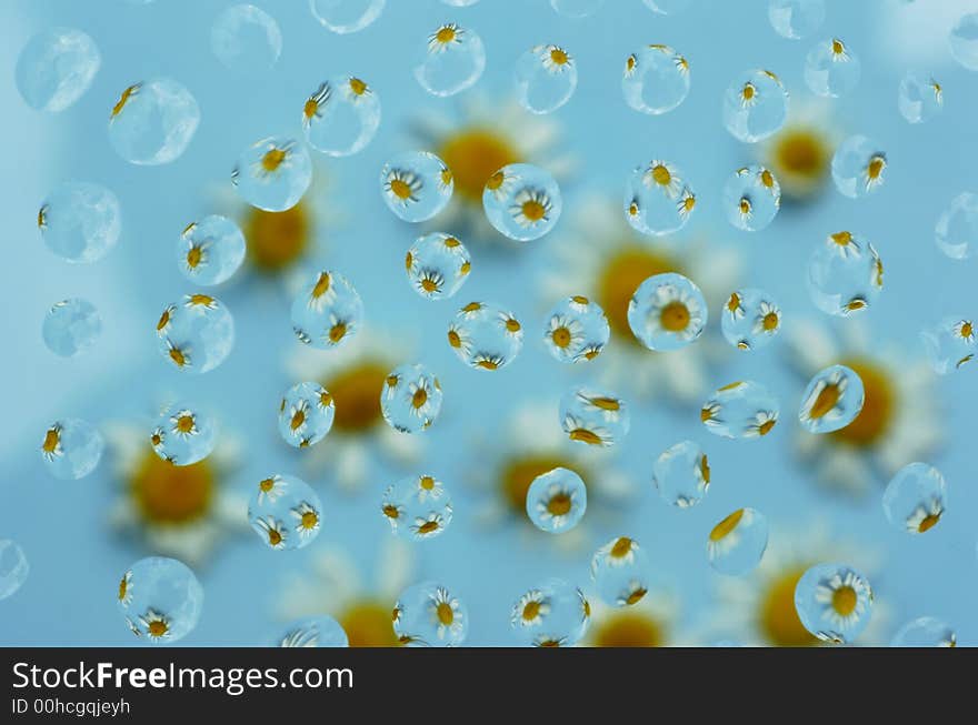 Reflections of little flowers in waterdrops on blue background. Reflections of little flowers in waterdrops on blue background