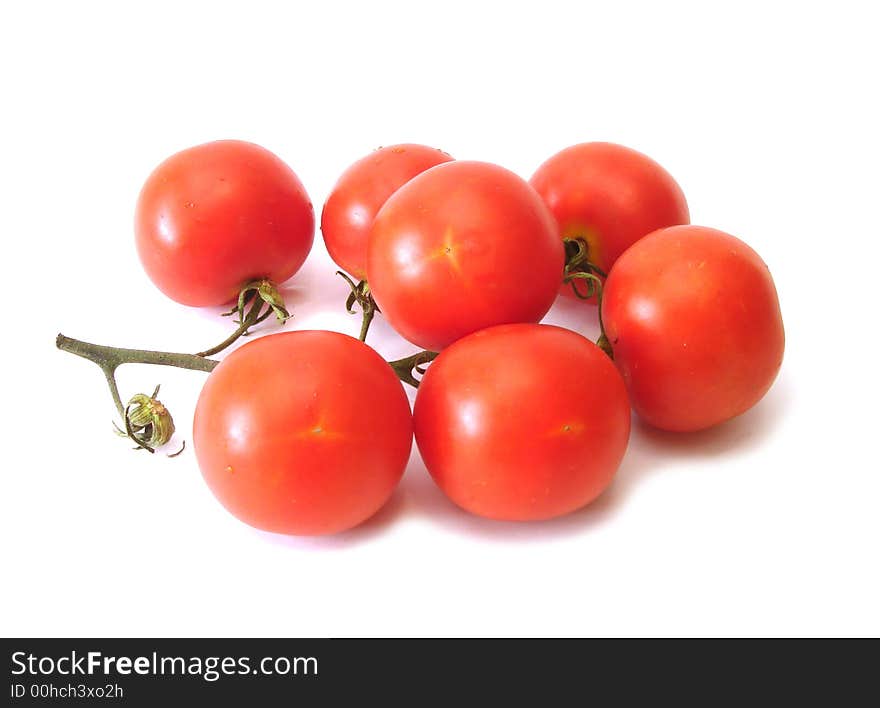 Many tomatos over white