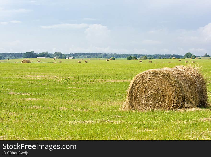 Hay bales on the swathe