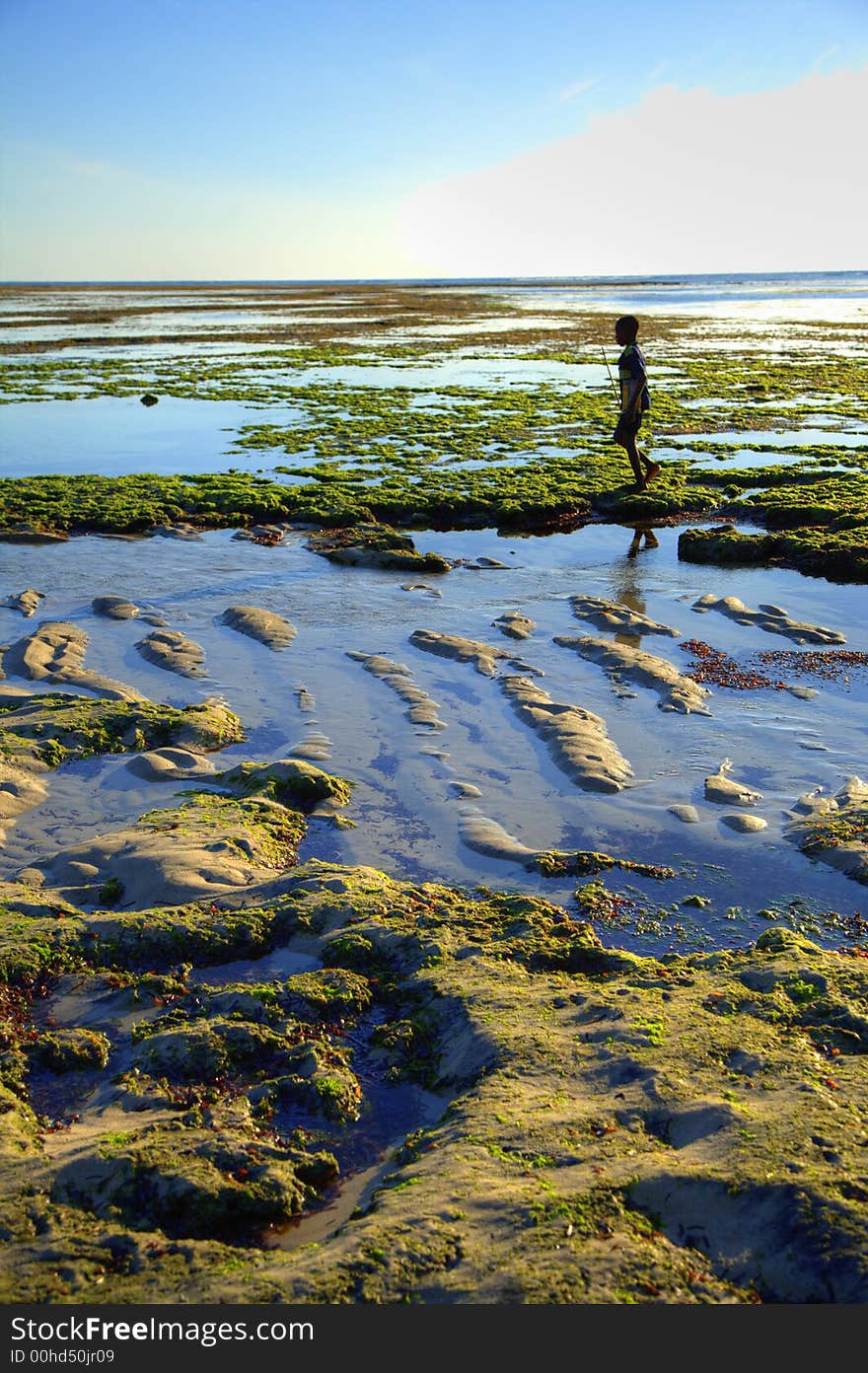 Boy walking on the beach