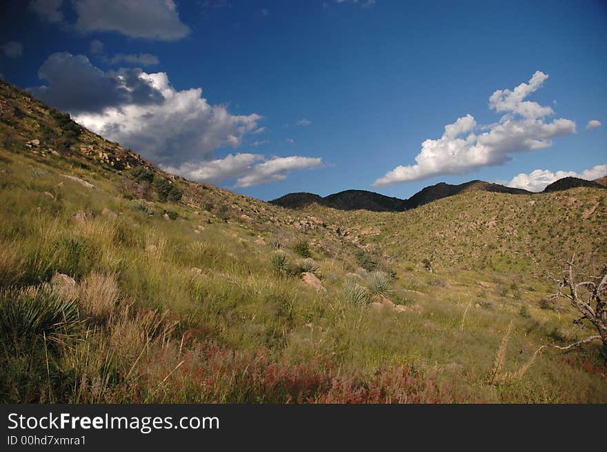 A valley in the southern Arizona mountainous landscape. A valley in the southern Arizona mountainous landscape.