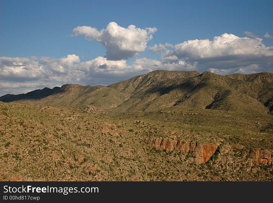 The sky islands are made up of several high elevation land masses in the southwestern United State.