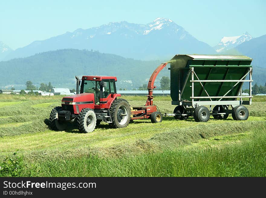 Farmer in the field havesting hay. Farmer in the field havesting hay