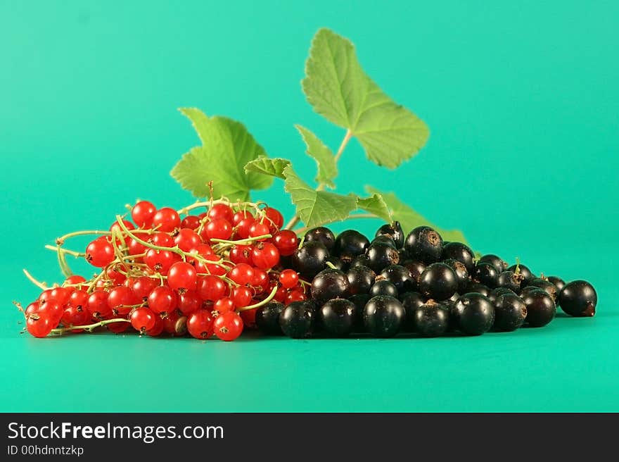 Berries of a red and black currant.