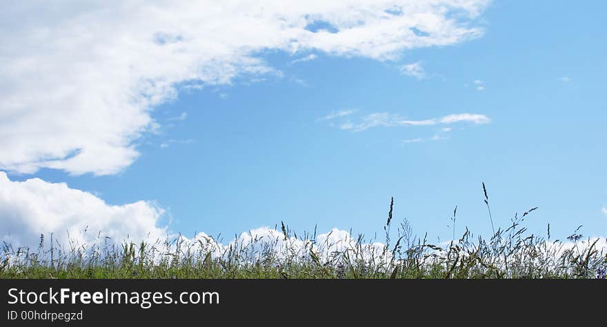 Top of a hill; June; a grass and the easy gentle clouds slowly floating above a head. Top of a hill; June; a grass and the easy gentle clouds slowly floating above a head.