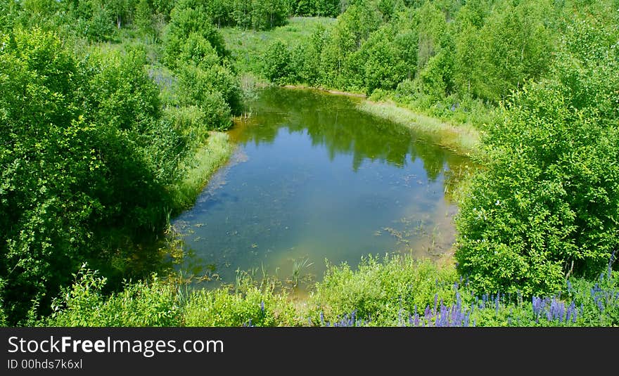 A picturesque corner in a wood; not the big lake; good vacation spot. A picturesque corner in a wood; not the big lake; good vacation spot.