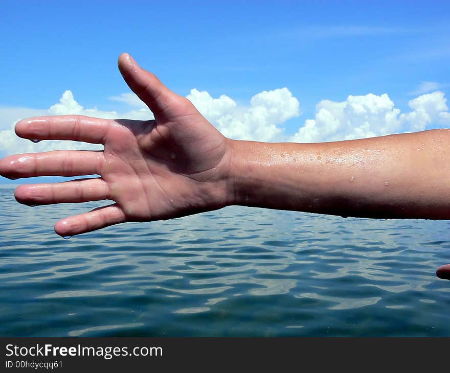 One palm above water on a background of the sea