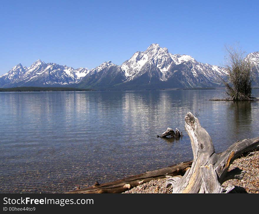 Mt. moran seen from the lakeshore trail at Colter Bay on Jackson's Lake. Mt. moran seen from the lakeshore trail at Colter Bay on Jackson's Lake