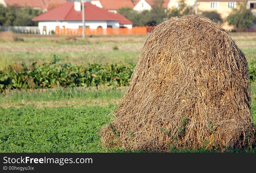 A hay in a field with a house at the background. A hay in a field with a house at the background