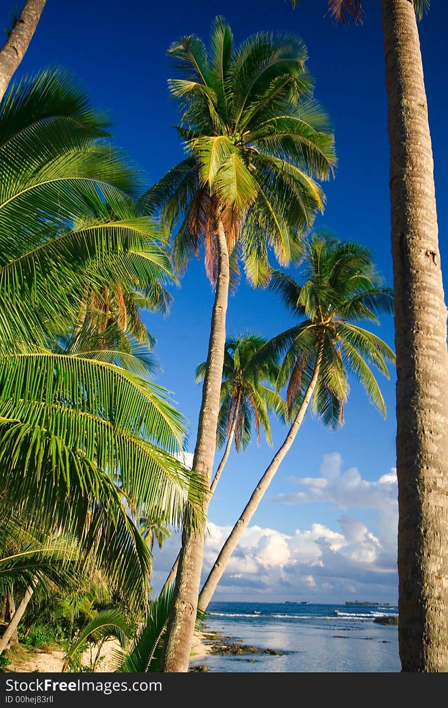 Beautiful tropical vacation beach scene with a deep blue sky scattered white clouds white sand and the sea. The perfect place for relaxing. Room for text. Beautiful tropical vacation beach scene with a deep blue sky scattered white clouds white sand and the sea. The perfect place for relaxing. Room for text.