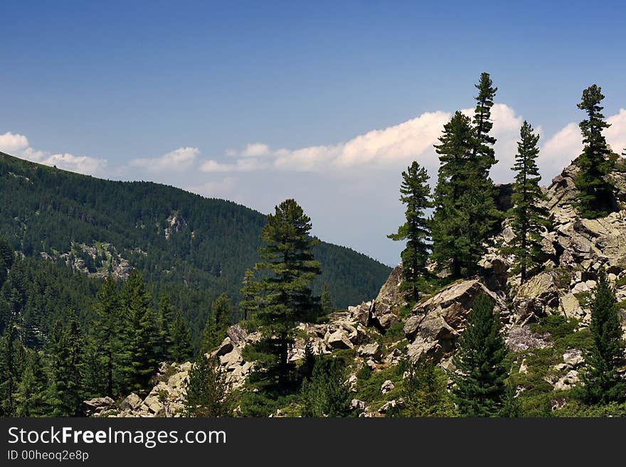 Mountain scenery with forest and slopes. Mountain scenery with forest and slopes