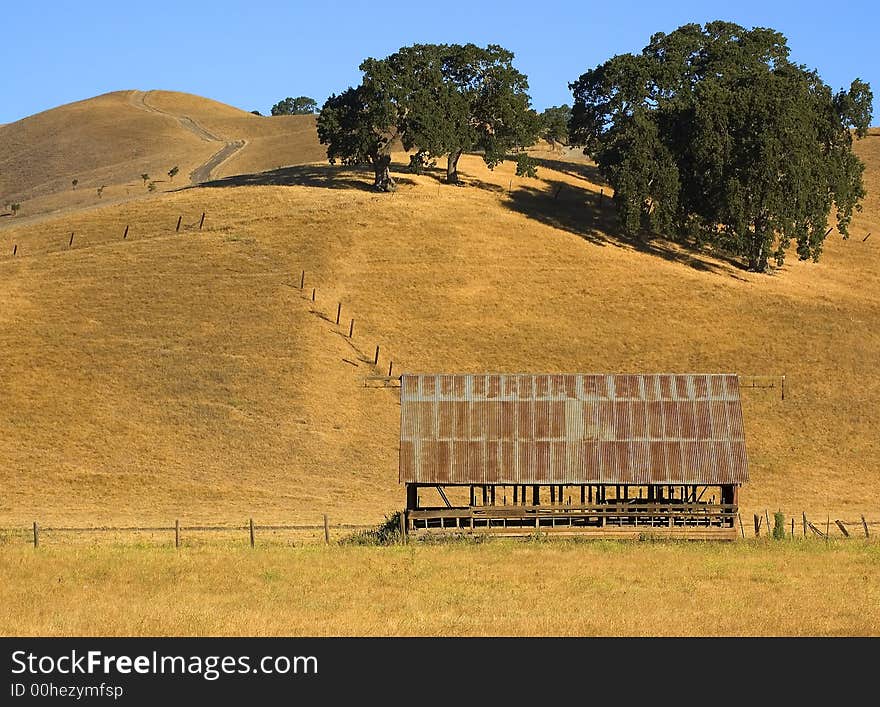 Barn In Field