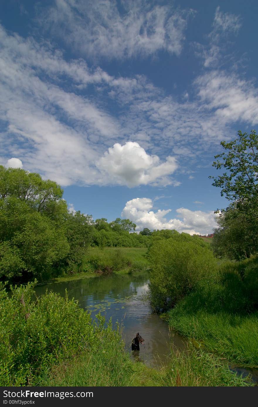 Rural Summer Landscape