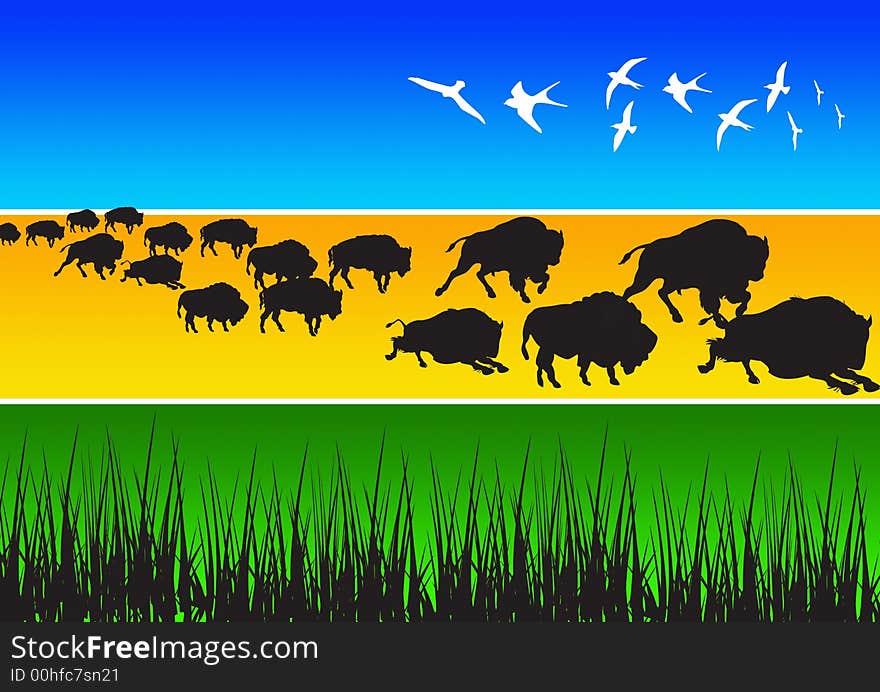 Illustration of buffalo, african animal silhouettes