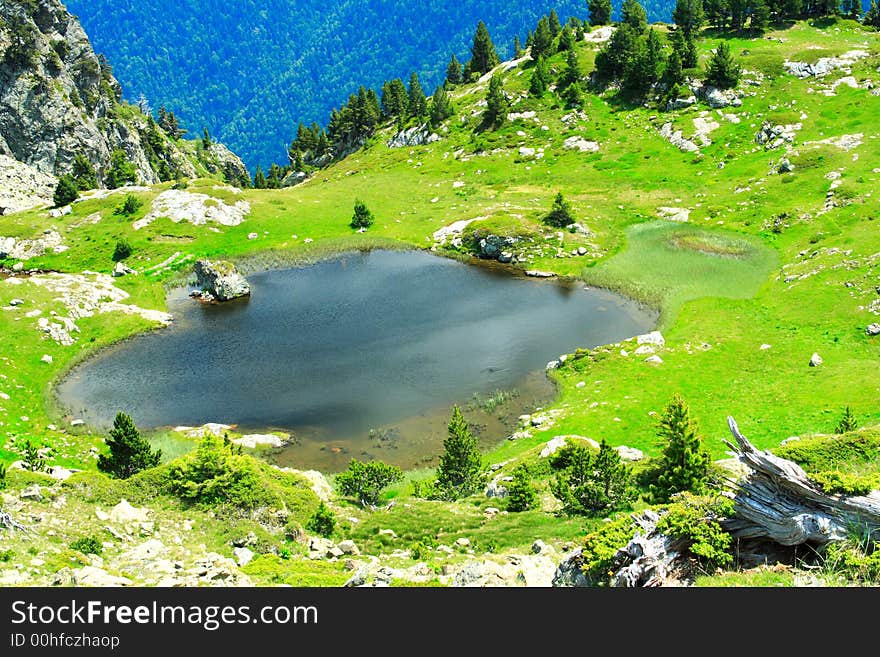 Small pond in the alps during summer