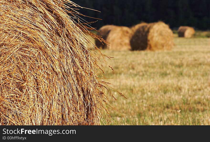 Glade with haystacks. Russia. NEAR Moscow. Glade with haystacks. Russia. NEAR Moscow