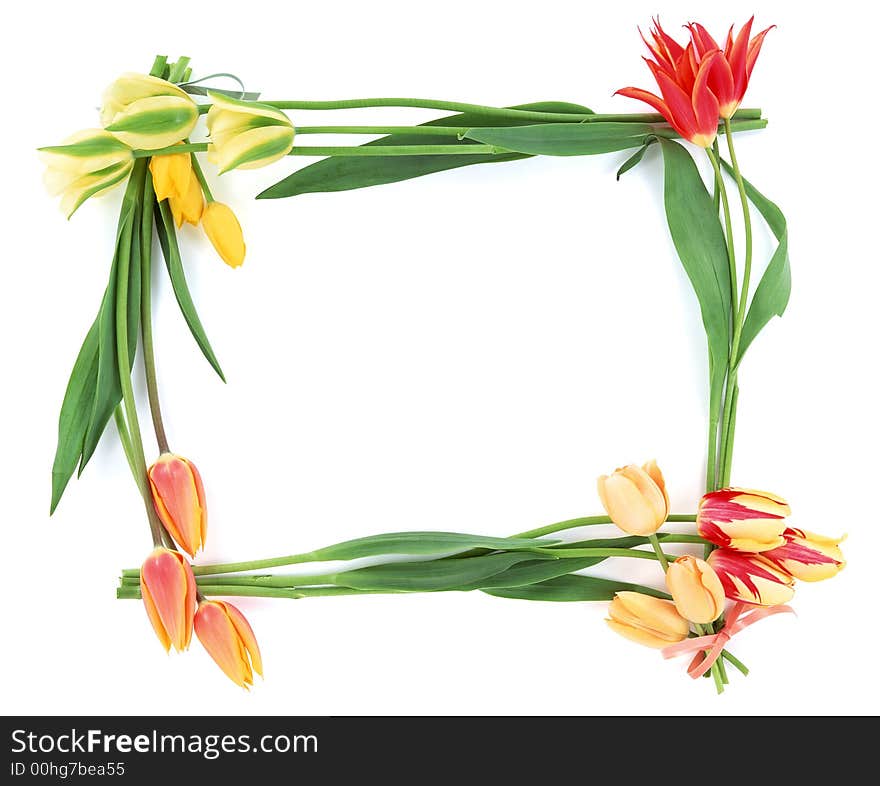 This is a White Background Flower Frame. This is a White Background Flower Frame