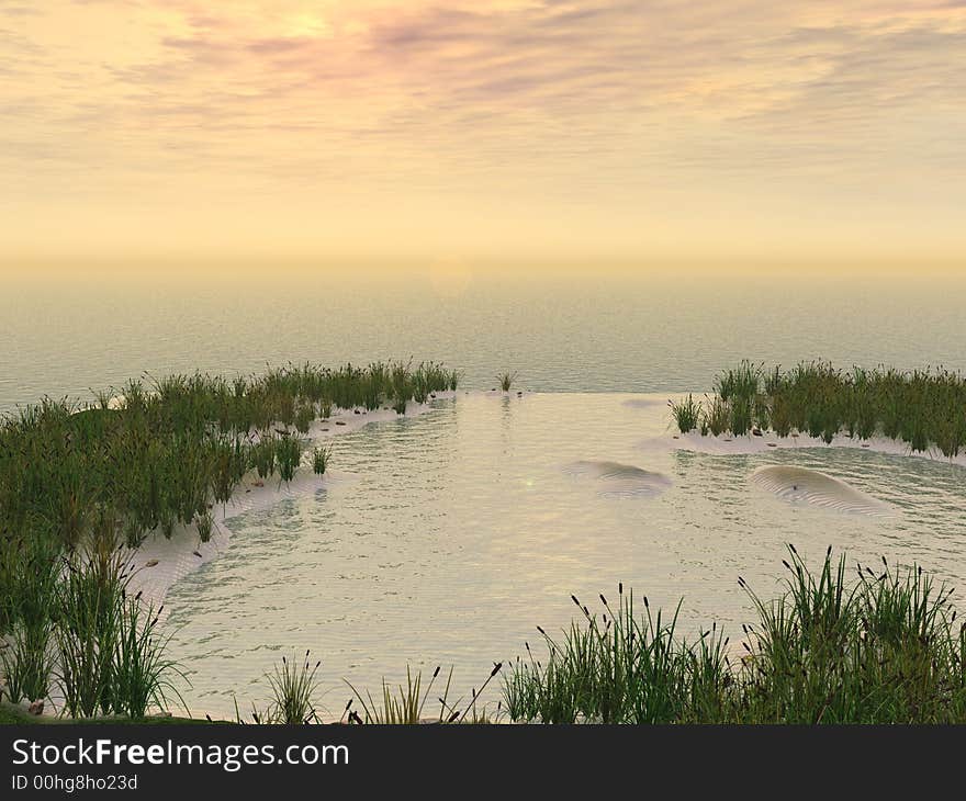 Water plants on a sea sunset  background  -  3D scene. Water plants on a sea sunset  background  -  3D scene.