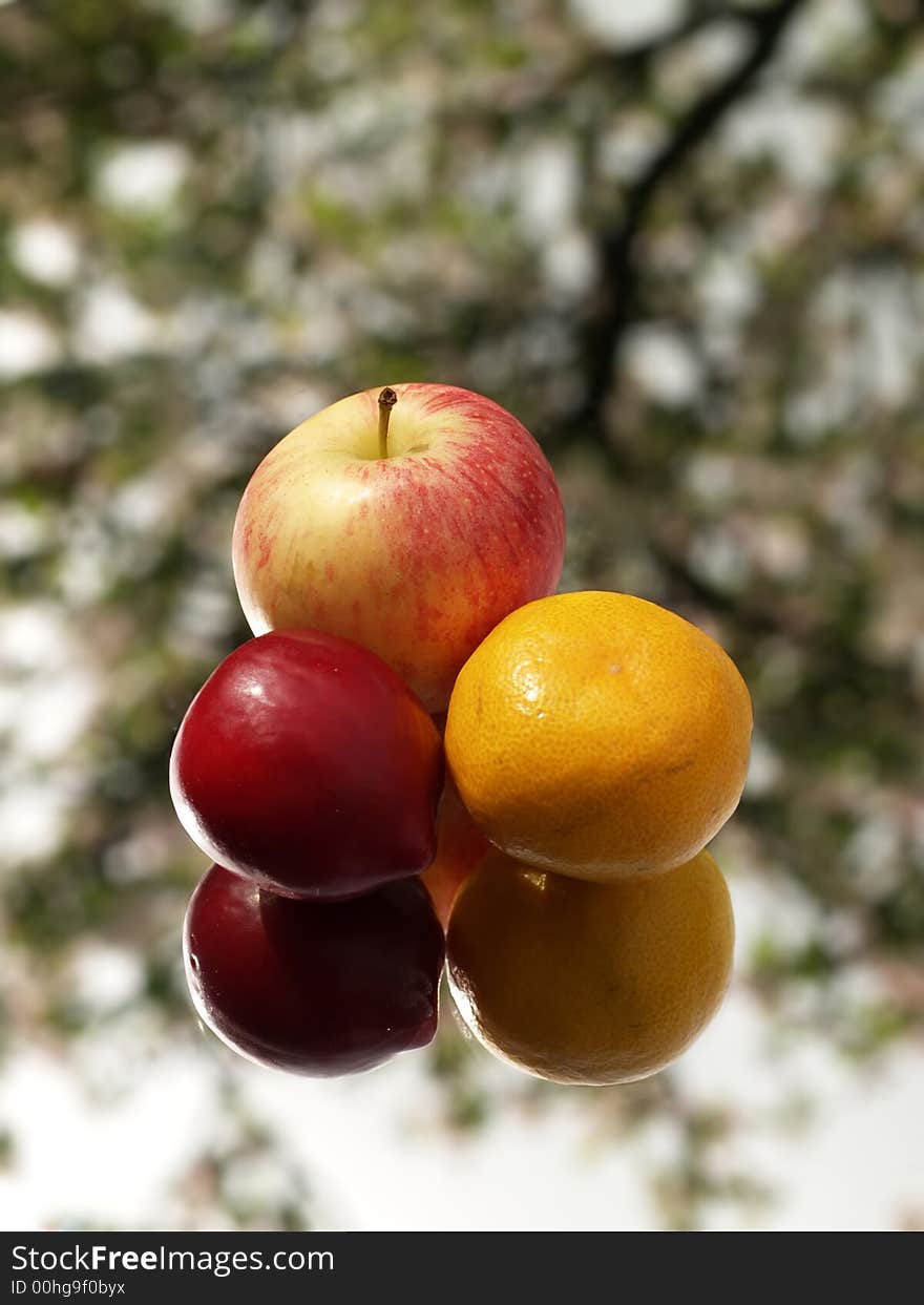 An apple an orange and a plum reflected on a mirror with a tree as a background texture. An apple an orange and a plum reflected on a mirror with a tree as a background texture