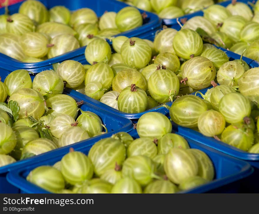 Gooseberries