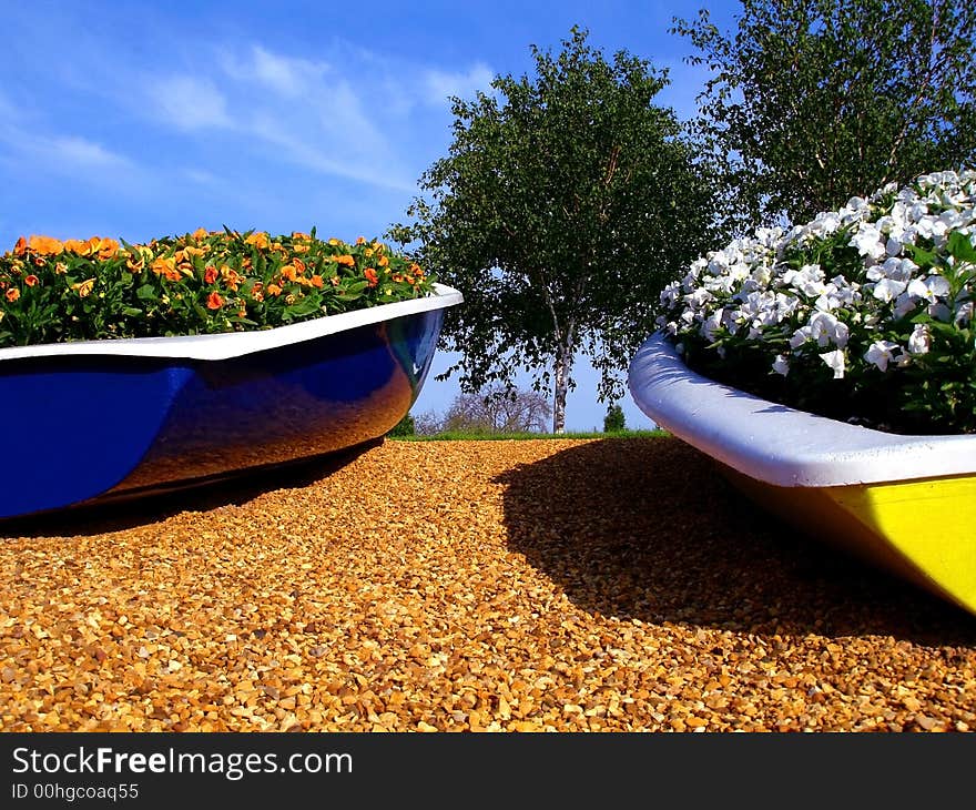 A view of flowers in boats blooming. A view of flowers in boats blooming.